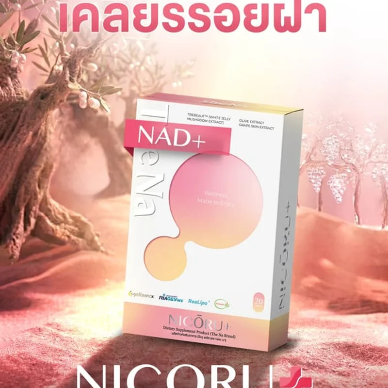 NICORU 4