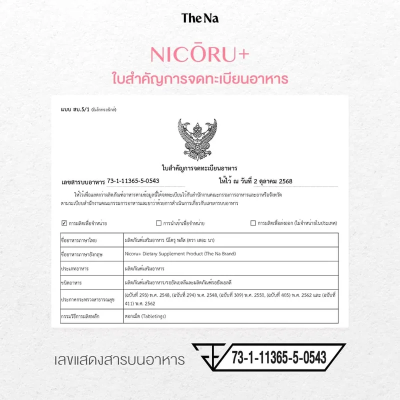 NICORU 9